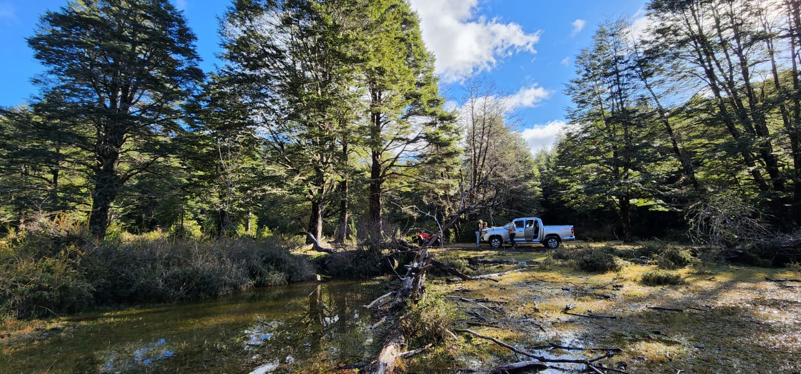 ✨ ¡TU REFUGIO DE MONTAÑA EN CURARREHUE!