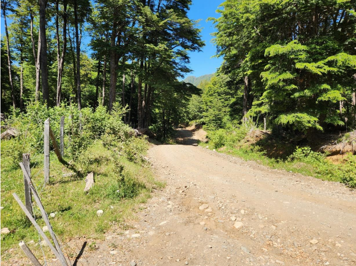 ✨ Fundo San Juan – Macro Lotes Ecológicos en Curarrehue 🌿