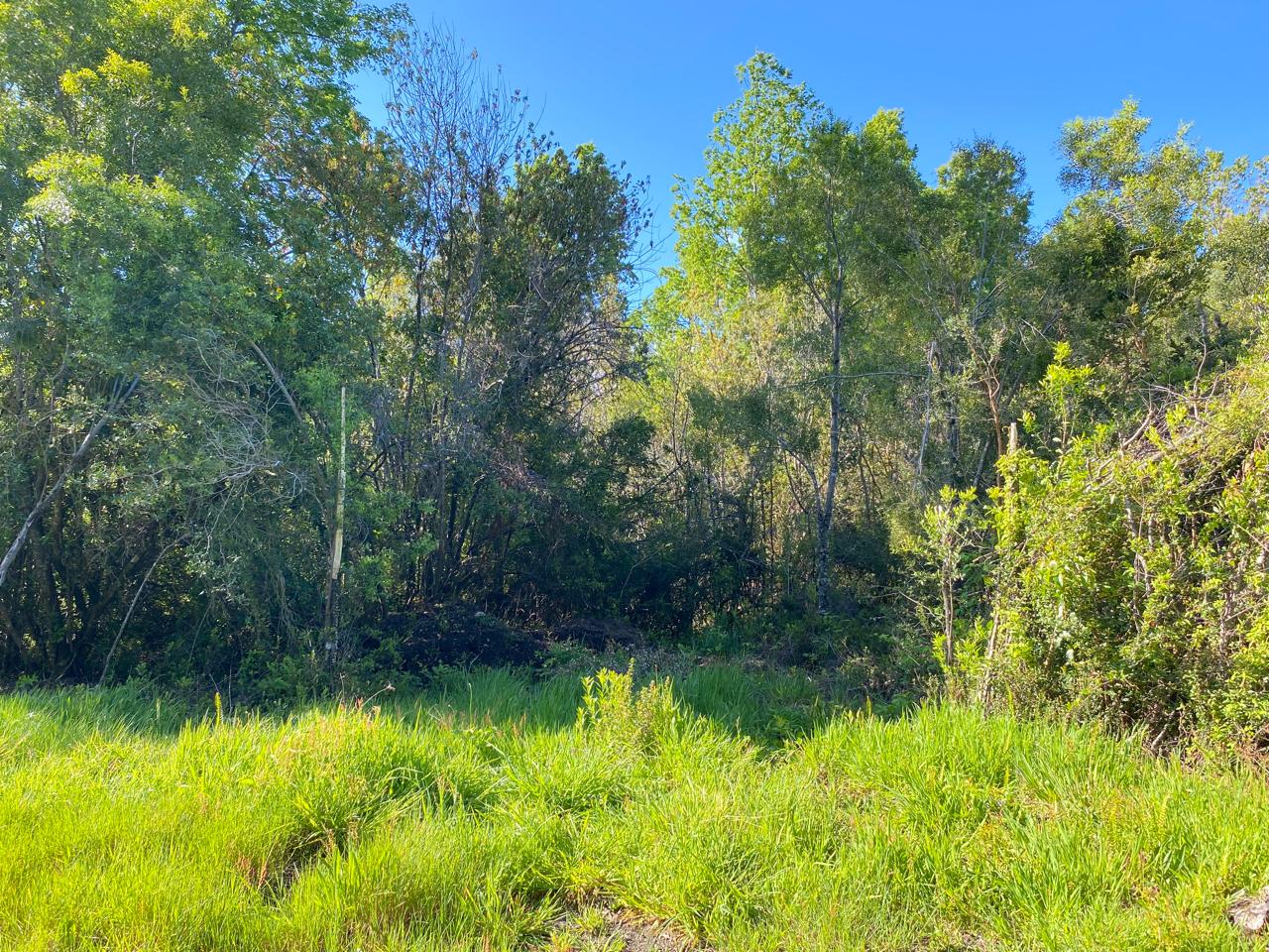 ✨ Parcelas a solo 10 minutos de Pucón (sector Metreñehue)