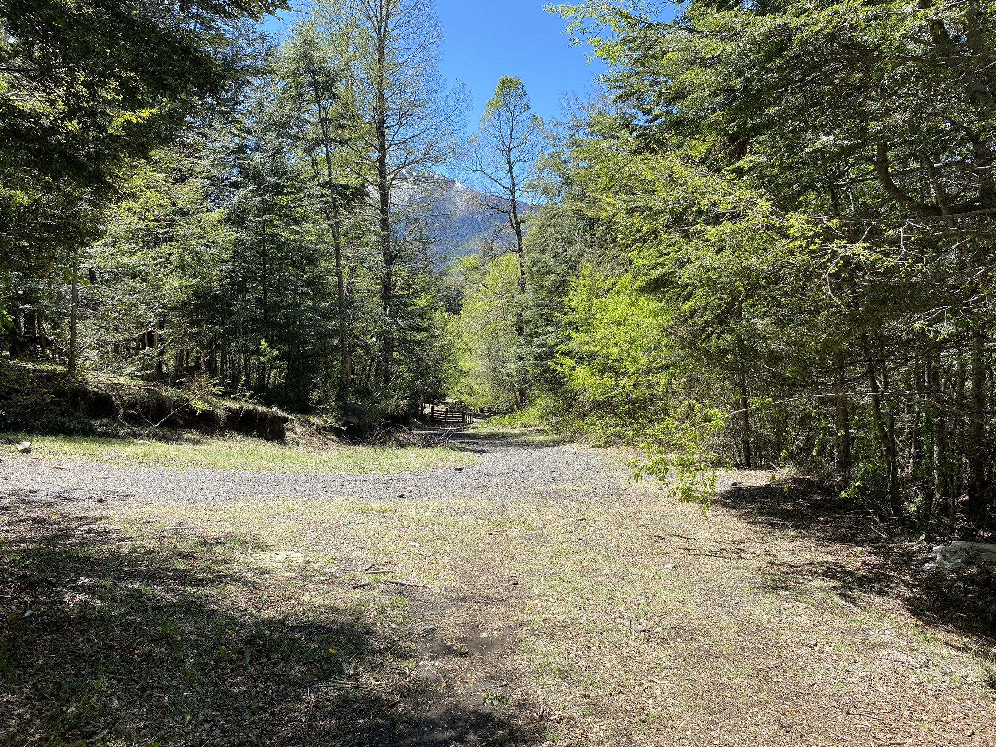 🌅 ¡PARCELAS A ORILLA DE LAGO, A MINUTOS DE PUCÓN!