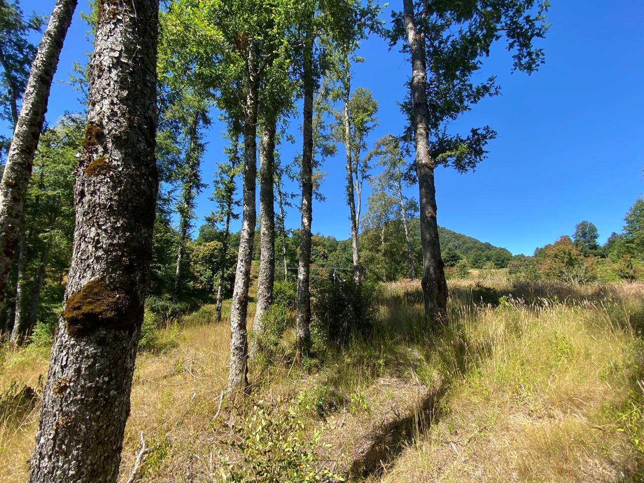 🌋 Terreno con Río y Vista al Volcán en Pucón – Sector Lefincul 🏞️