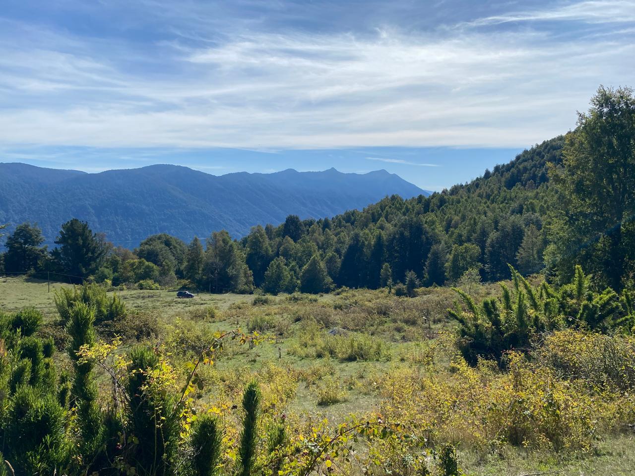 Parcela 5.000 m² con Vista a Lago Caburgua – PUCON 🌿