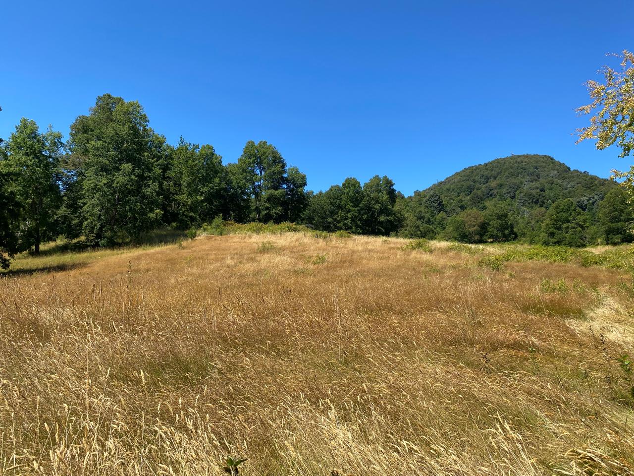 🌋 Terreno con Río y Vista al Volcán en Pucón – Sector Lefincul 🏞️
