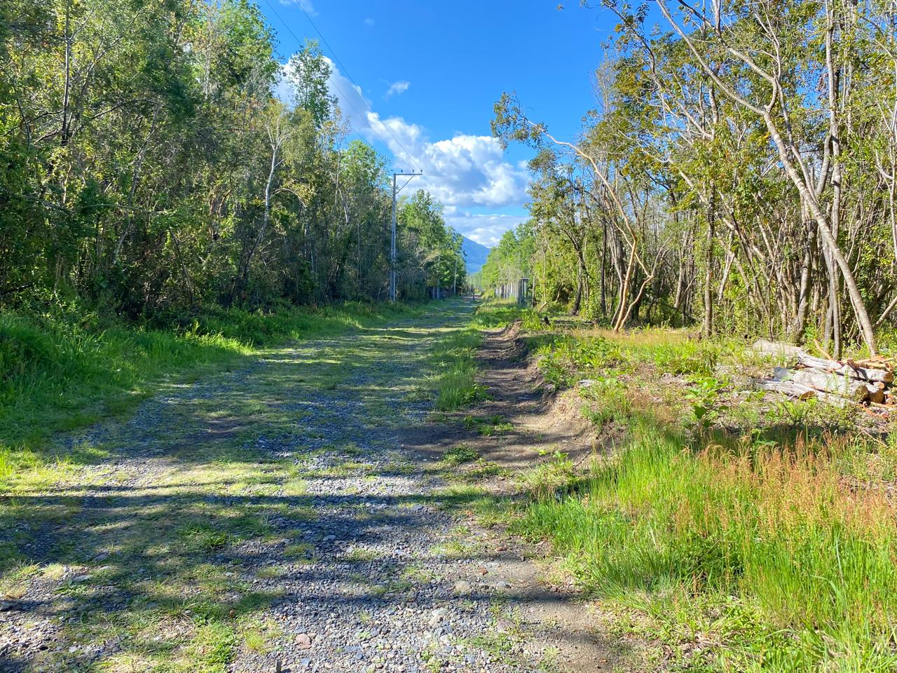 ✨ Parcelas a solo 10 minutos de Pucón (sector Metreñehue)