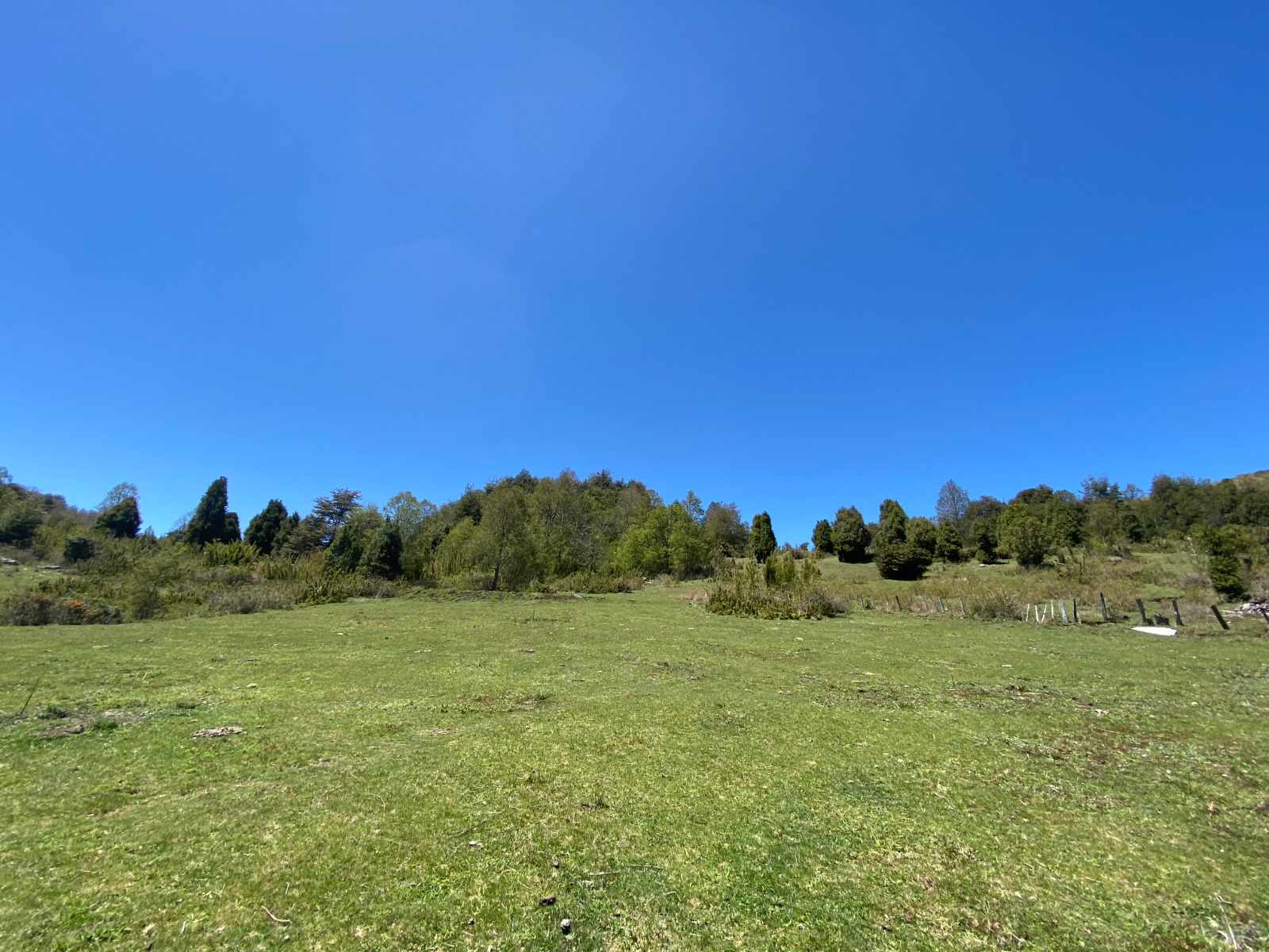 Parcela 5.000 m² con Vista a Lago Caburgua – PUCON 🌿