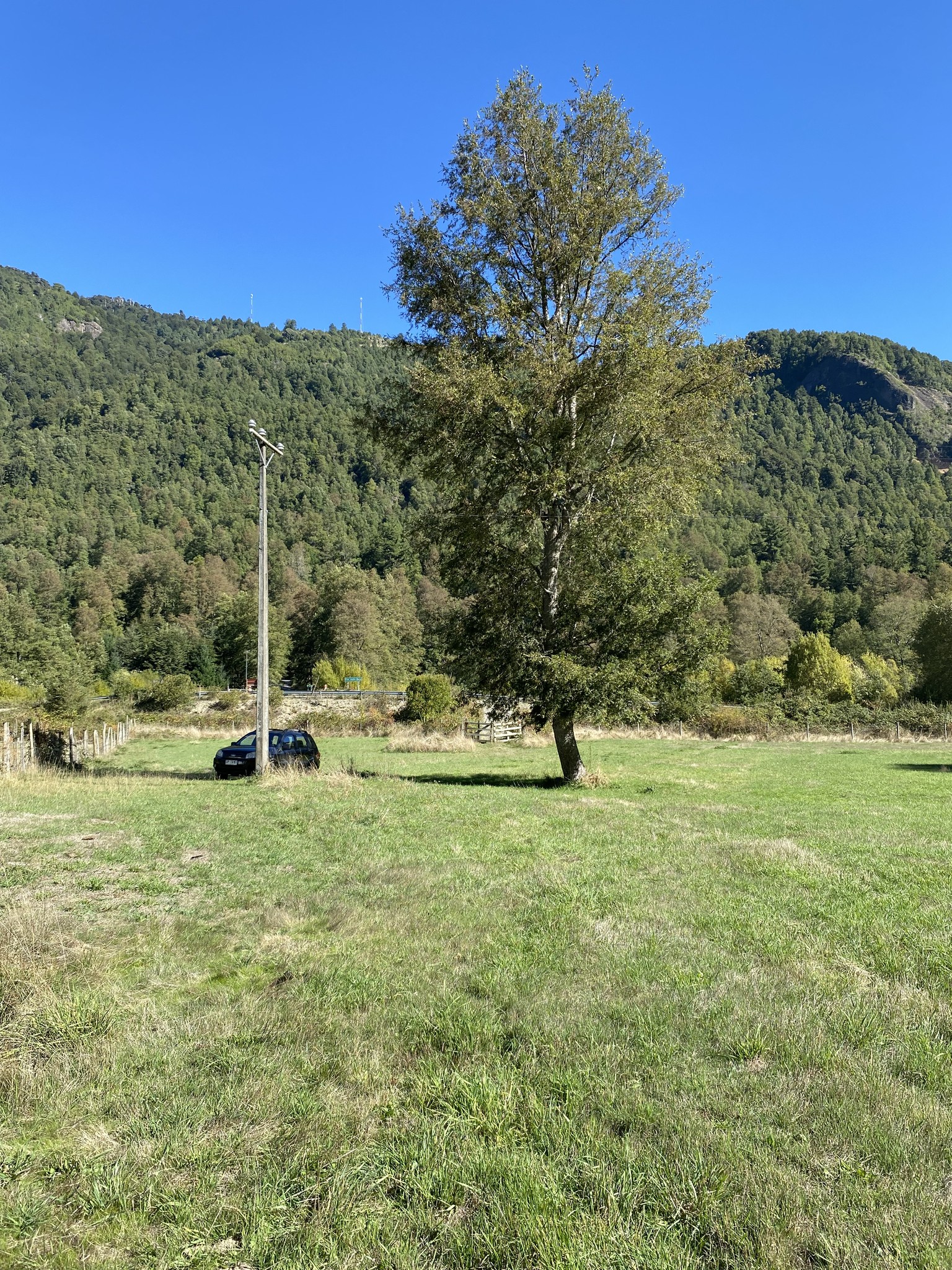 💎 ¡8 HECTÁREAS FRENTE AL CORDÓN TERMAL DE PUCÓN! El Lujo de la Naturaleza a 1 km de Termas Huife