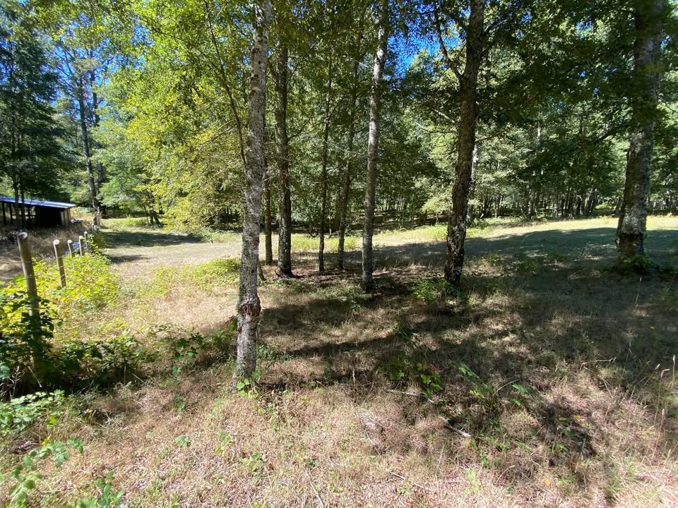 TERRENO A SÓLO 20 MIN DE PUCÓN