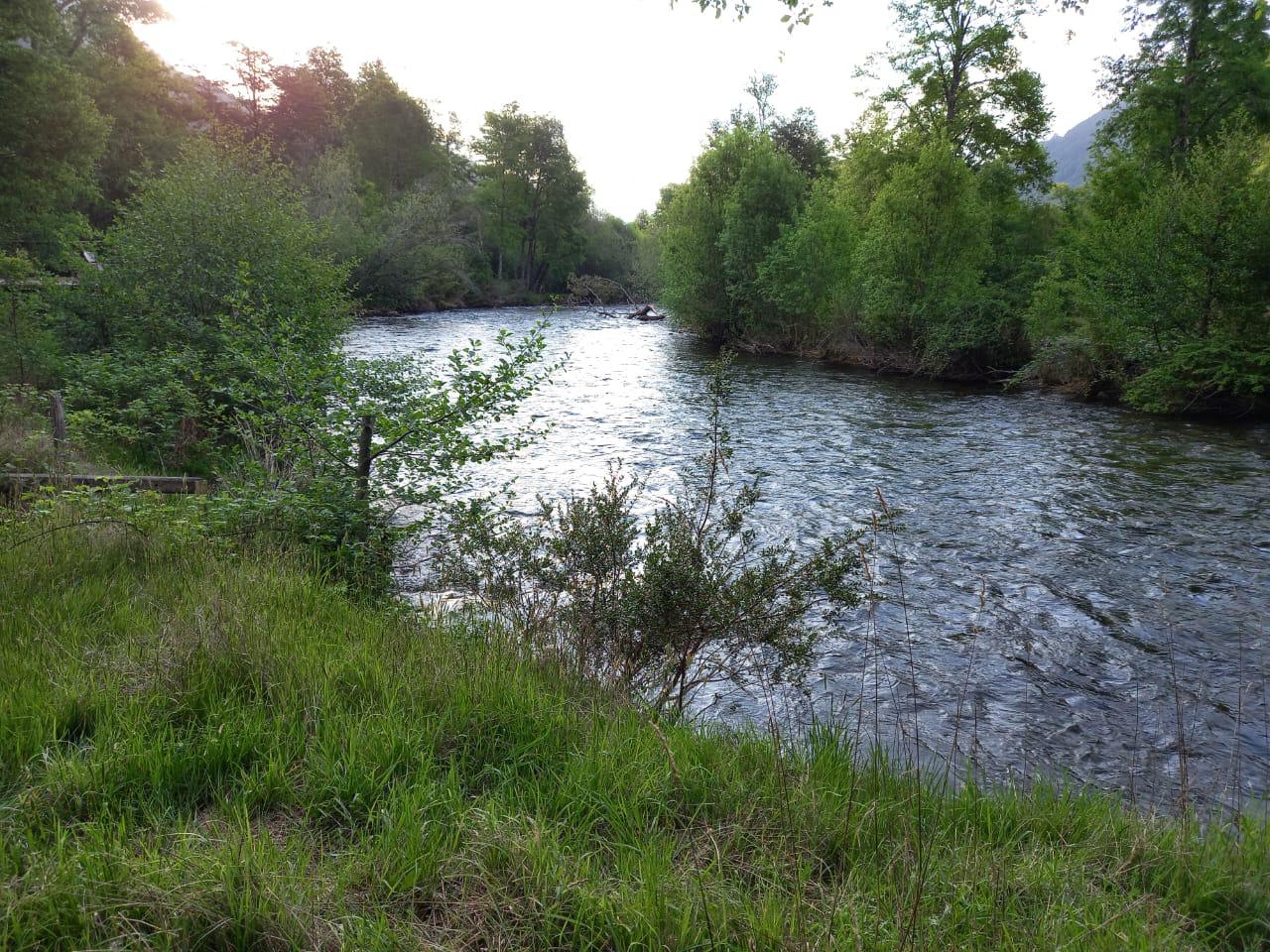 🚨 ¡PARCELA CON ORILLA DE RIO EN ZONA TERMAL DE PUCÓN!