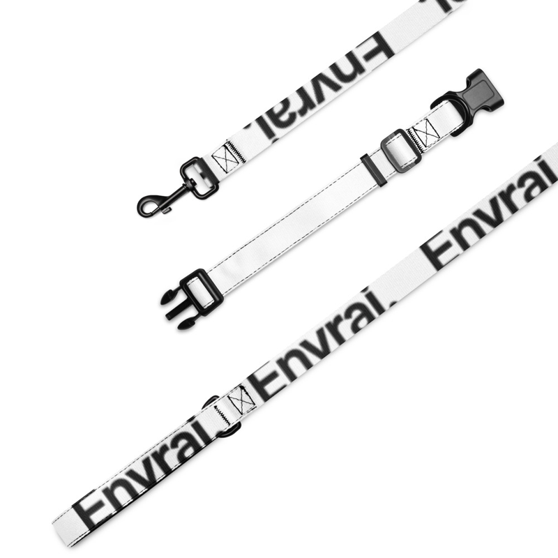 Collier et laisse pour chien Envrai.