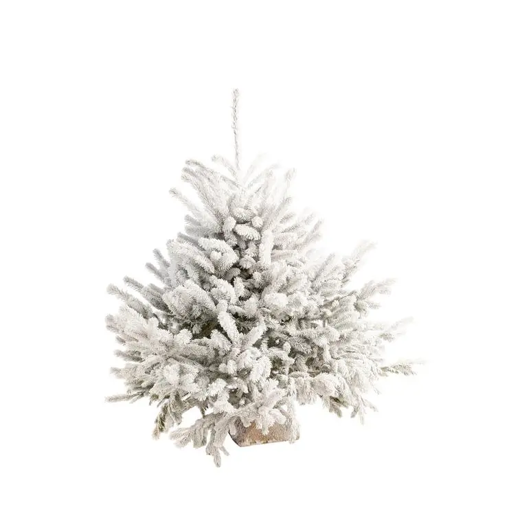 Natural cut Christmas tree, snow-covered, frosted white - 110 to 125 cm