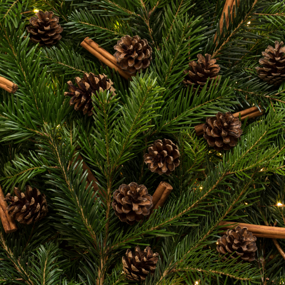 FLOWER - Norwegian red spruce Christmas tree in a 125/150cm pot