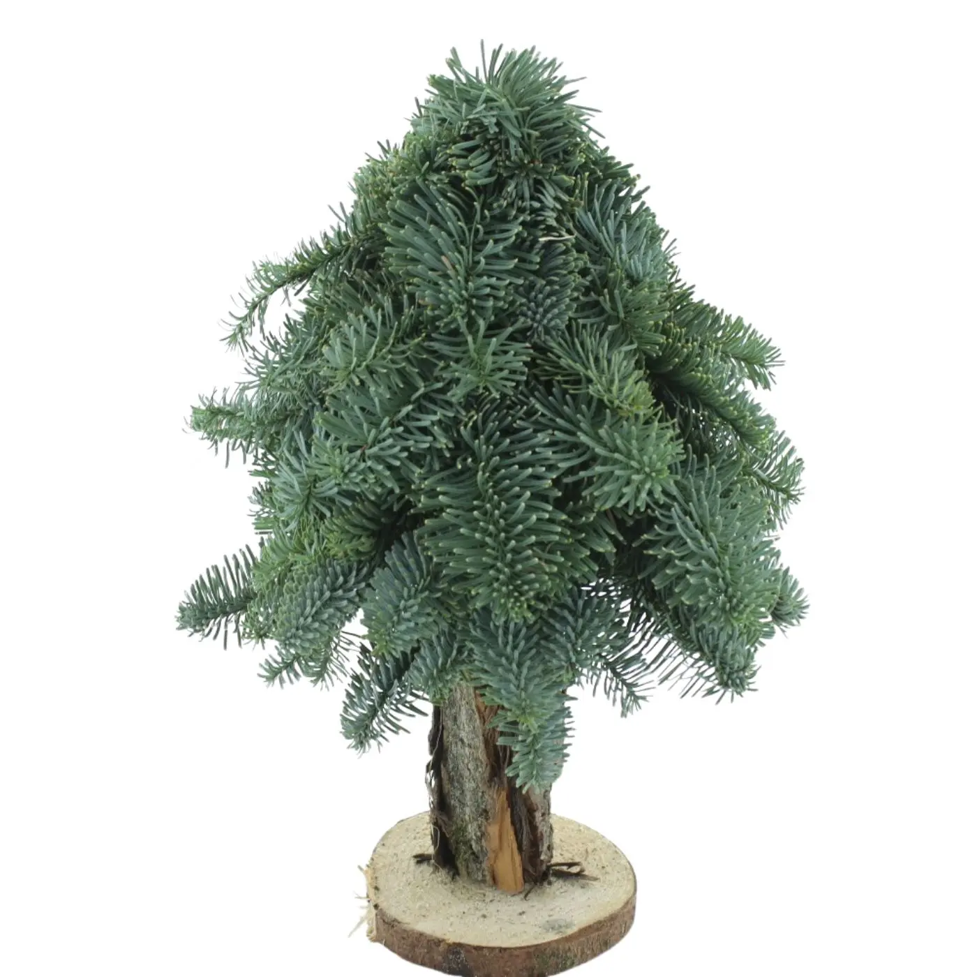 Natural fir tabletop with Nobilis stand, green colour – 40 cm