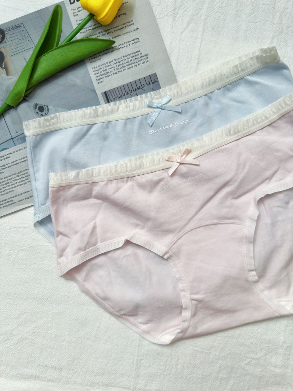U04 马卡龙清新色系内裤