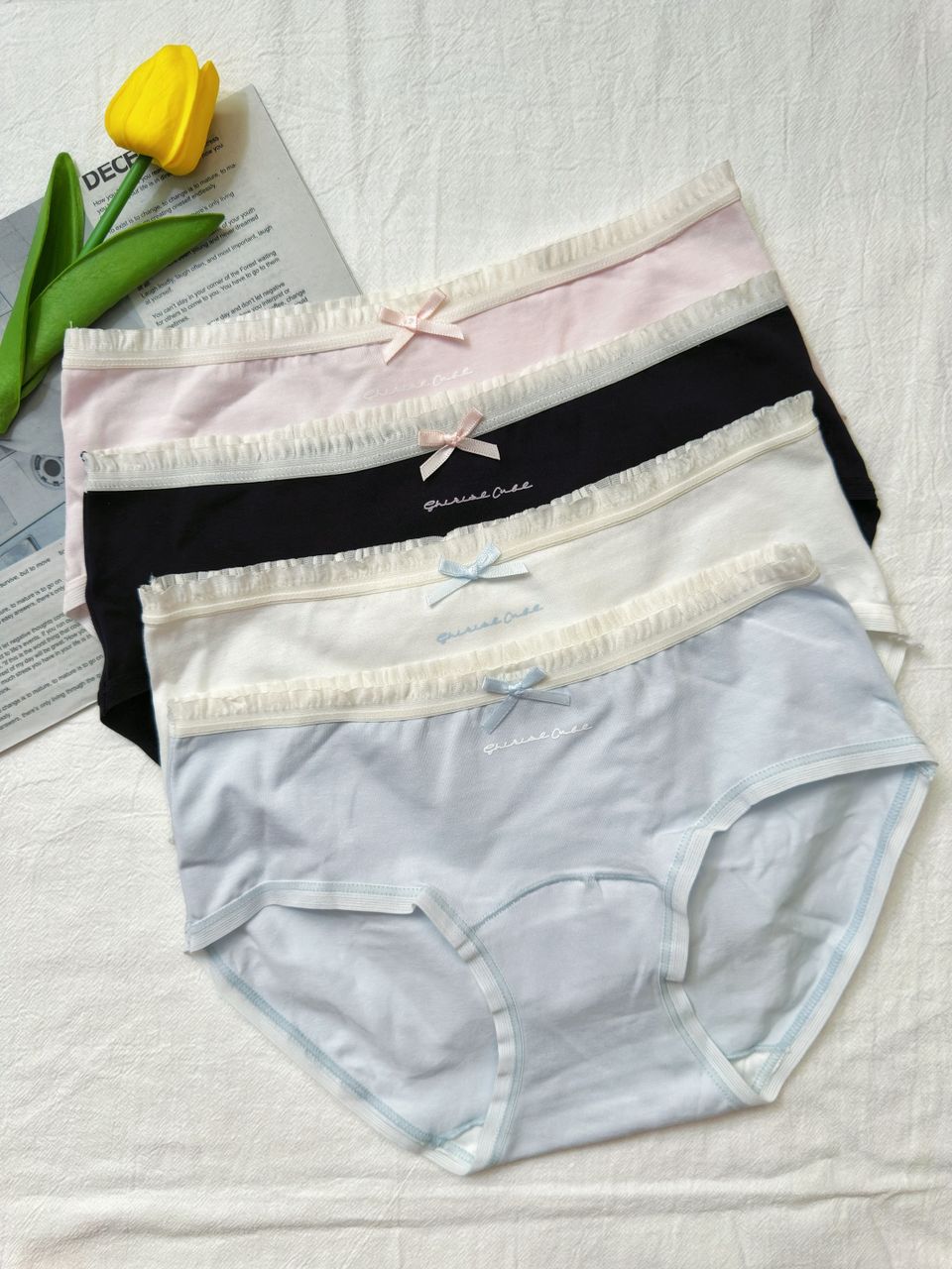 U04 马卡龙清新色系内裤