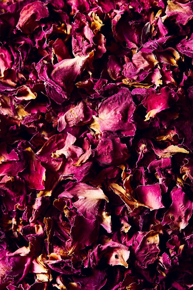 Dried Rose Petals