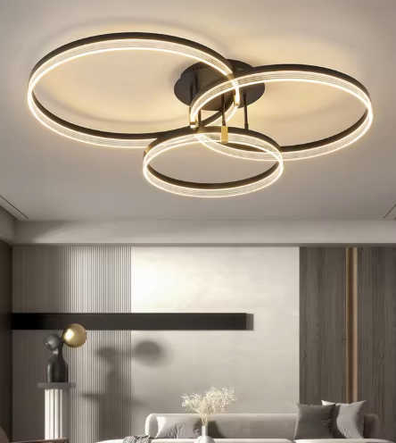 Modern LED Ceiling Light