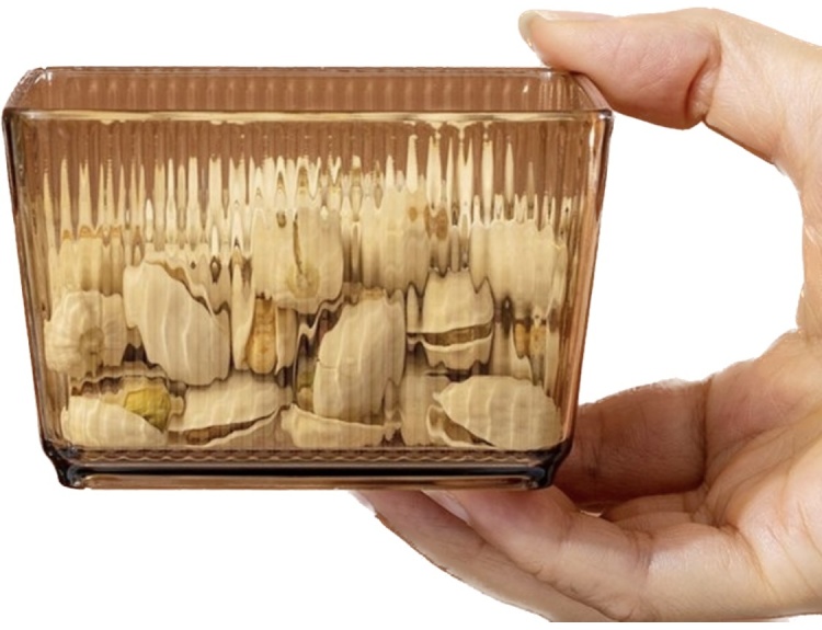 Dreamhousey Living Room Multi Division 4-grids Fruit Plate+Iron frame/Set, Dried Fruit nut Bowl Snack Dessert Candy Service Tray Platter Storage Box with lid (brown, 4-grids)