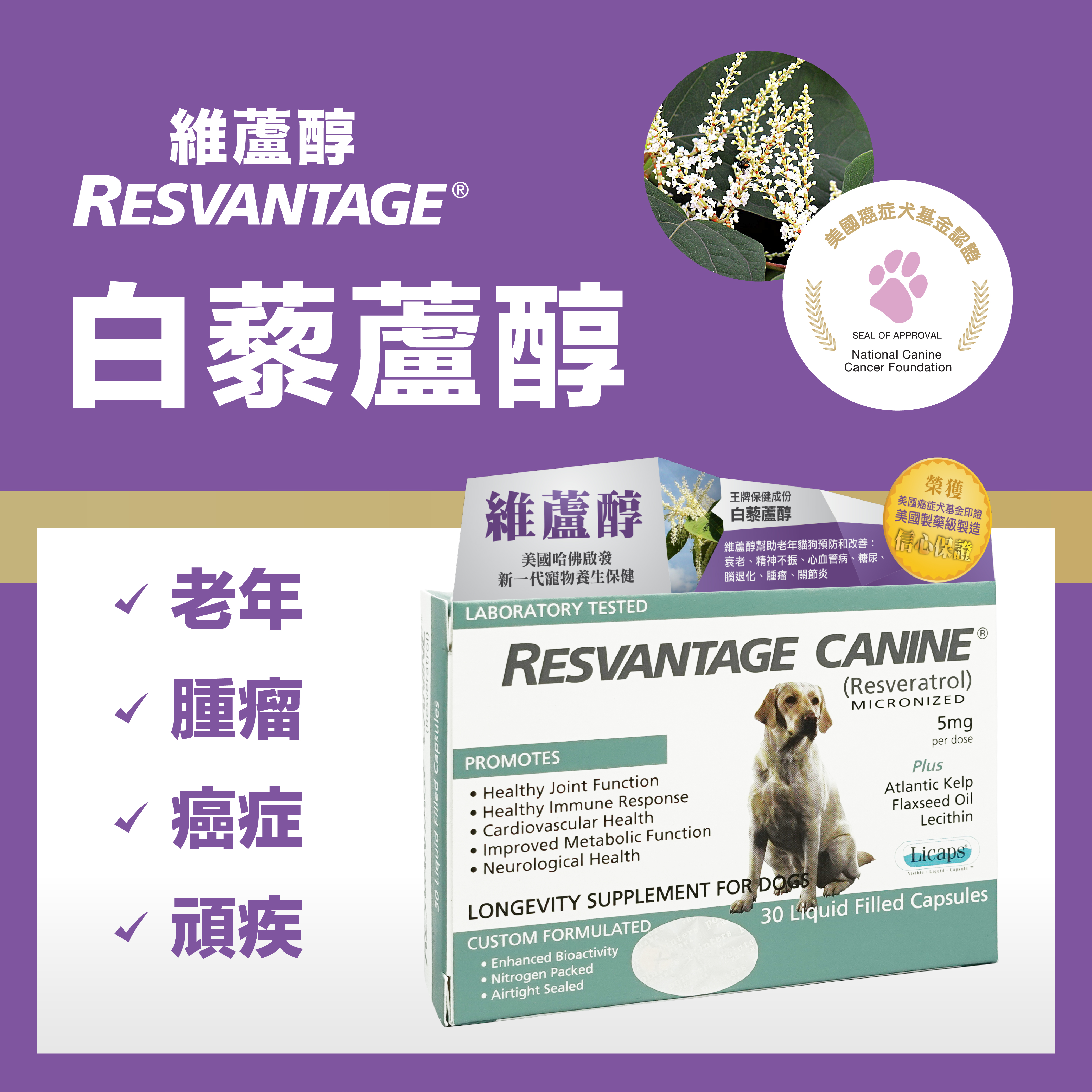 Resvantage 白藜蘆醇