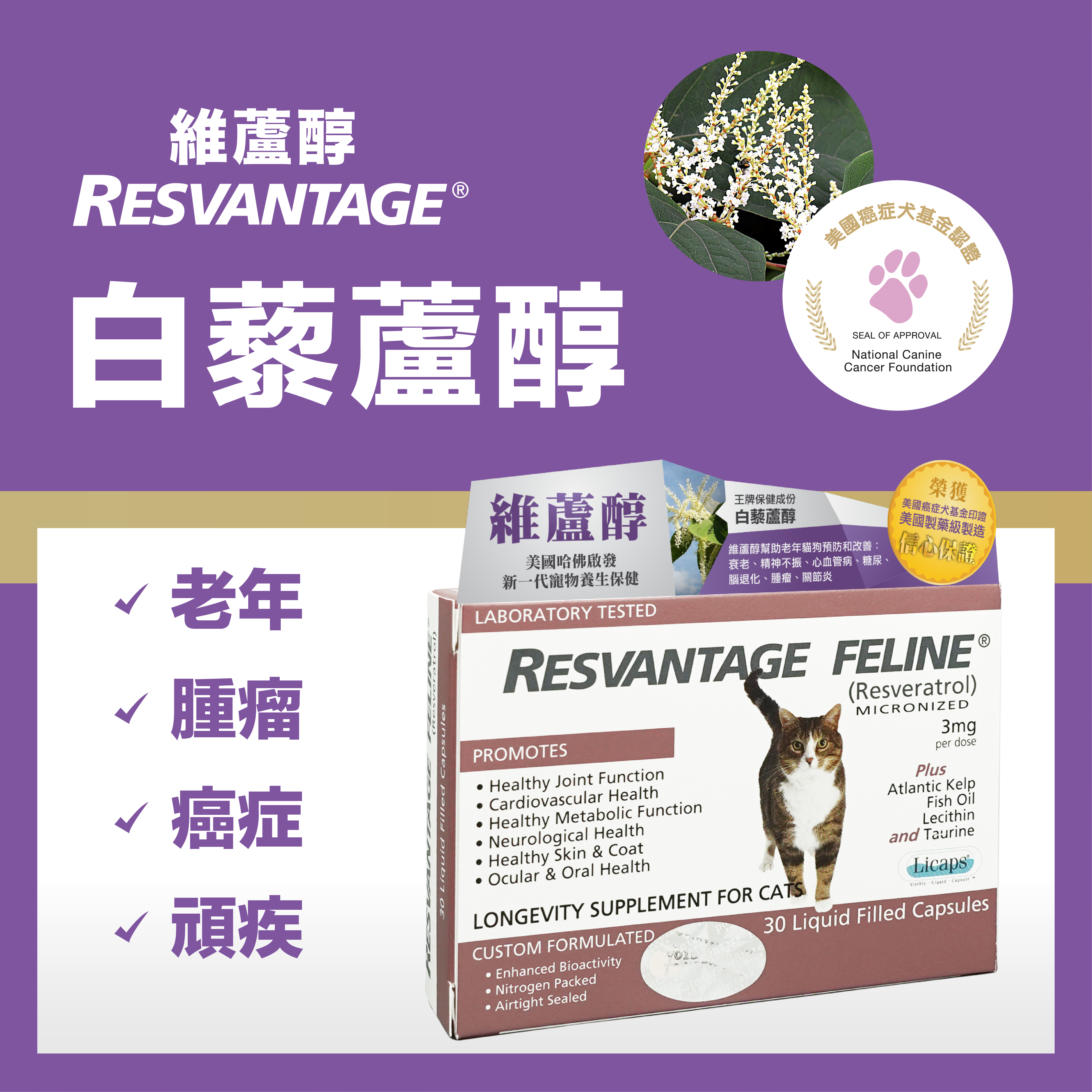 Resvantage 白藜蘆醇