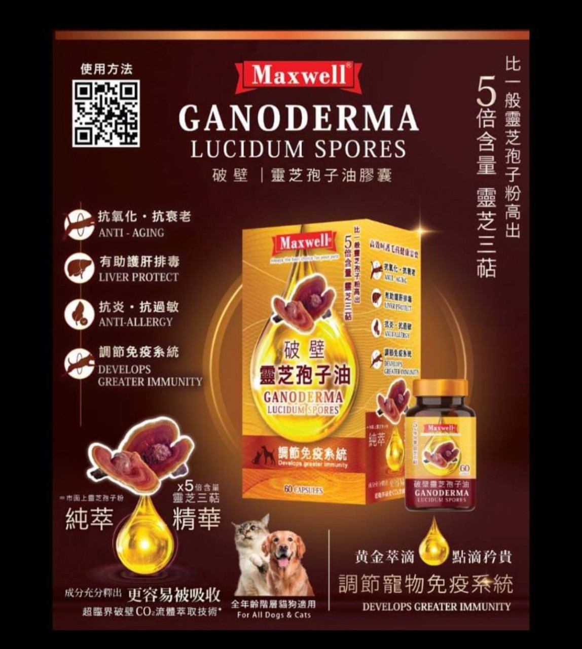 MXA-4675 MAXWELL 纯破壁靈芝孢子油