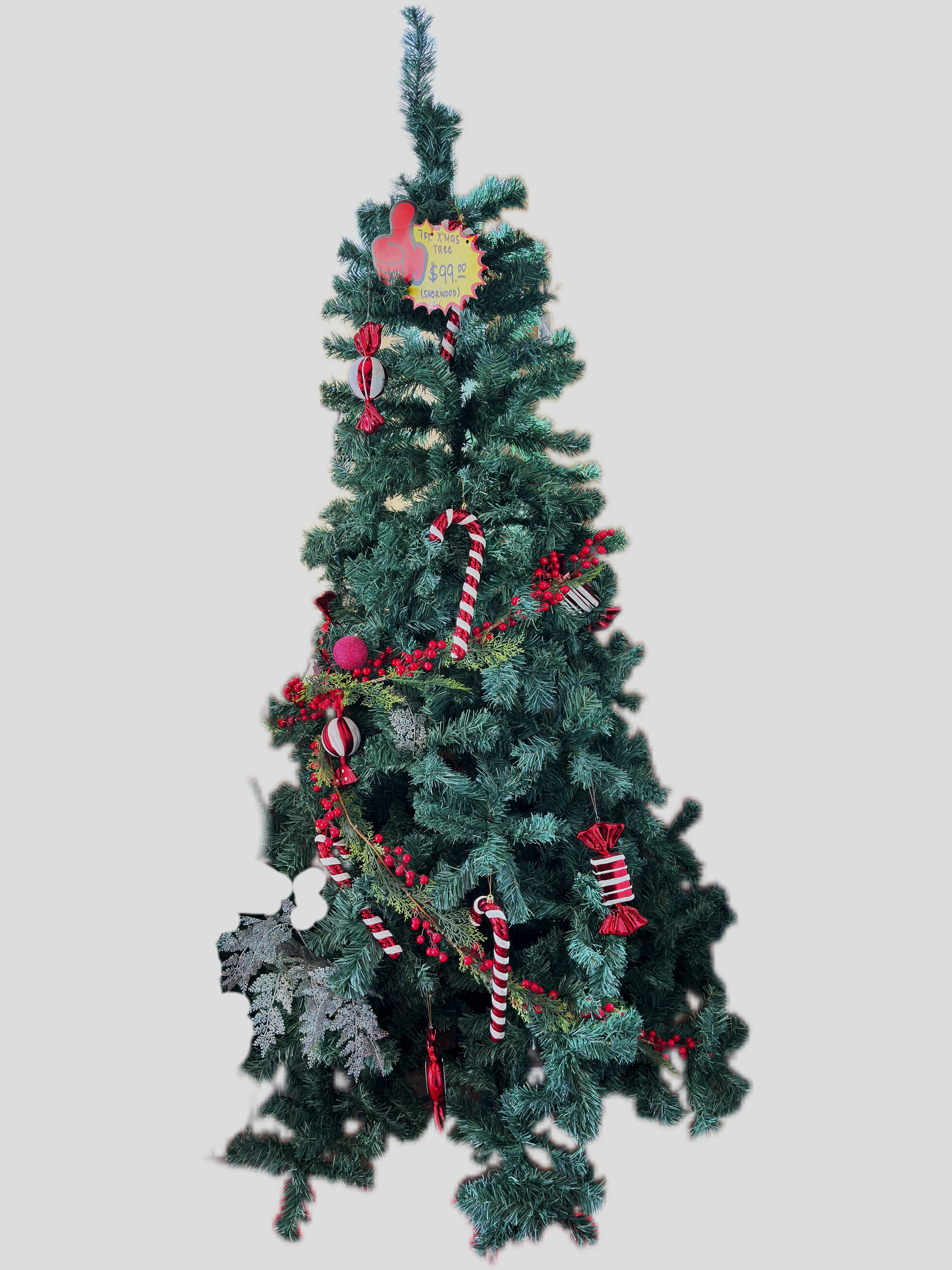 The Classic Sherwood Tree