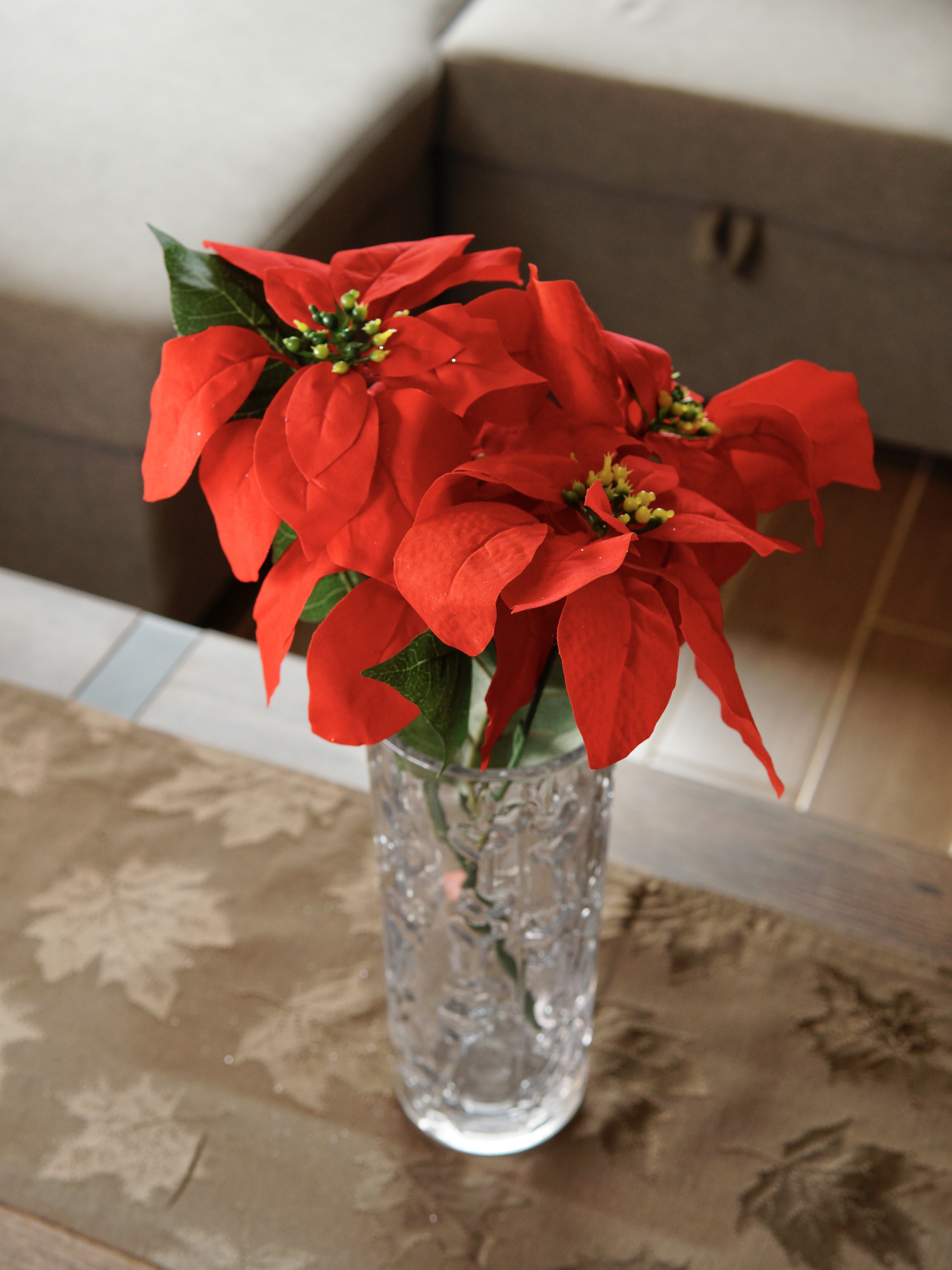 Natural Poinsettia Collection