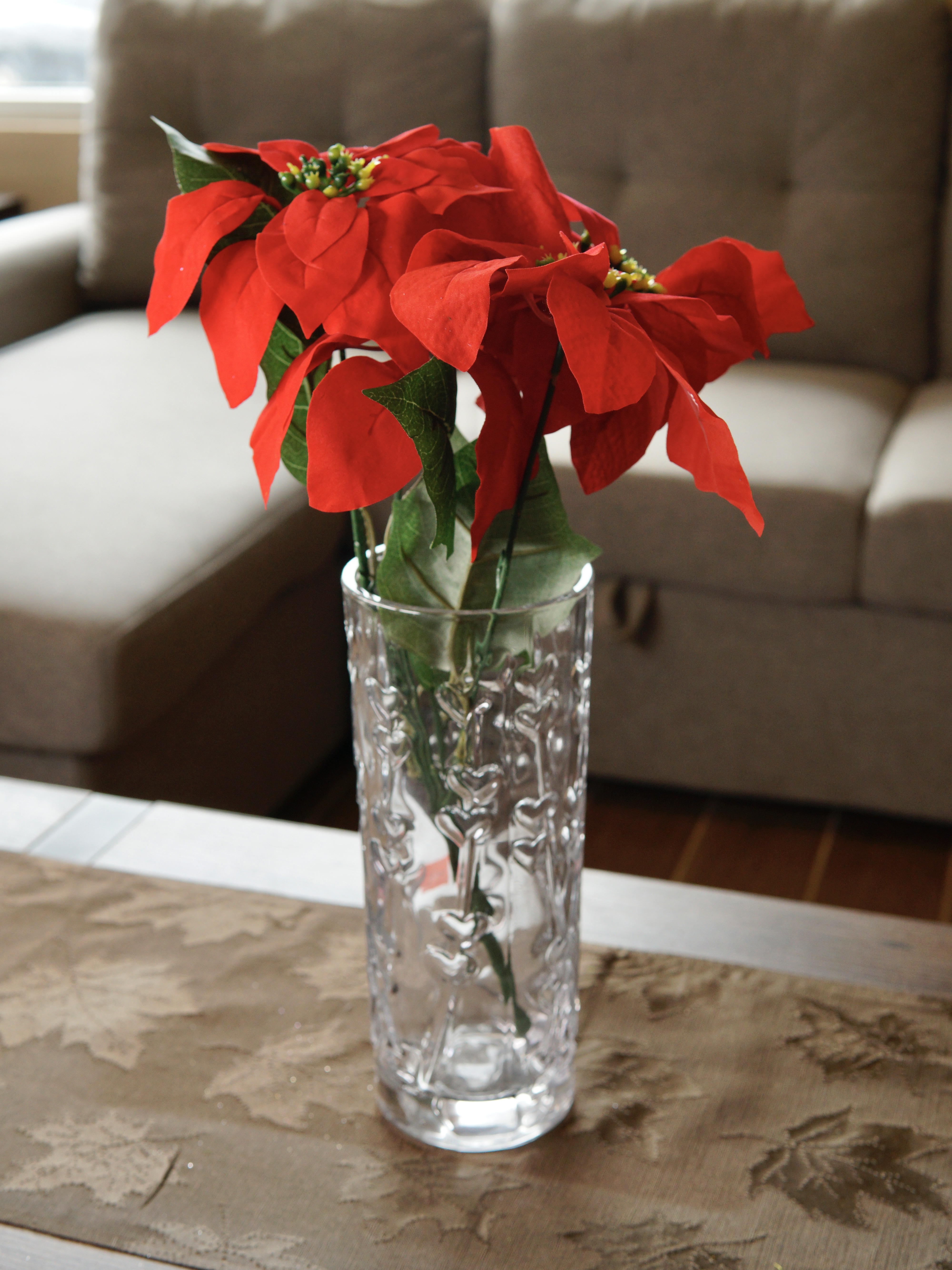 Natural Poinsettia Collection