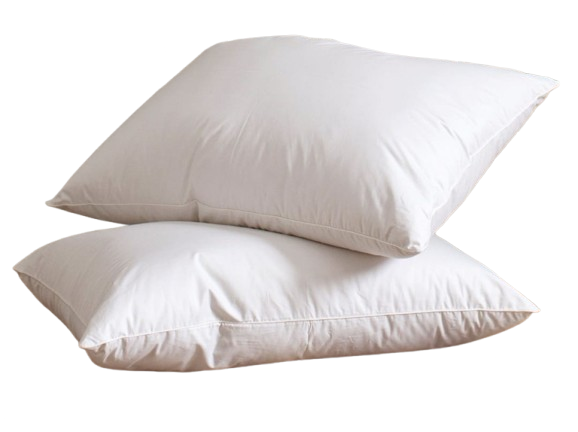 Home Mart Standard Pillow