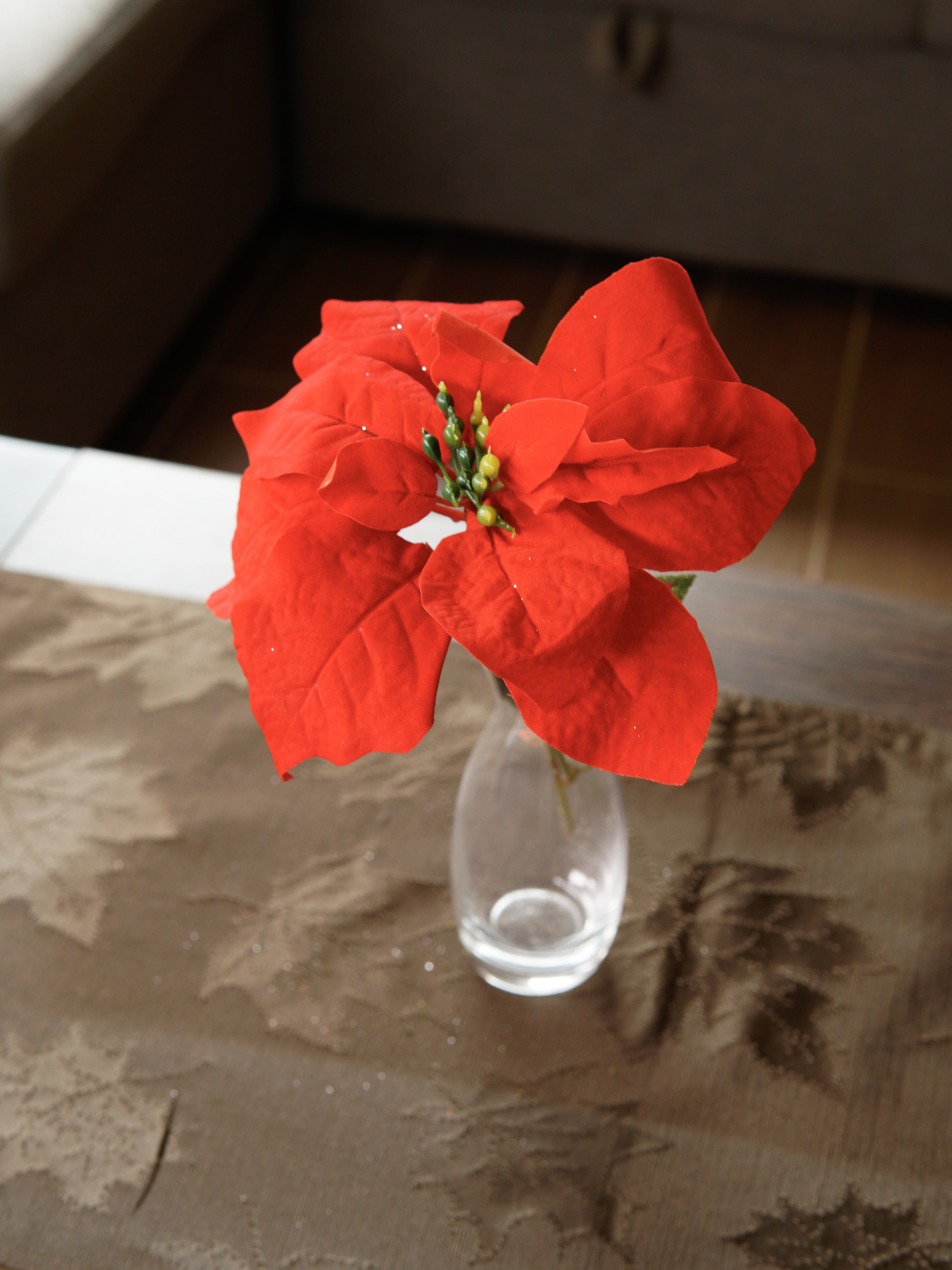 Natural Poinsettia Collection