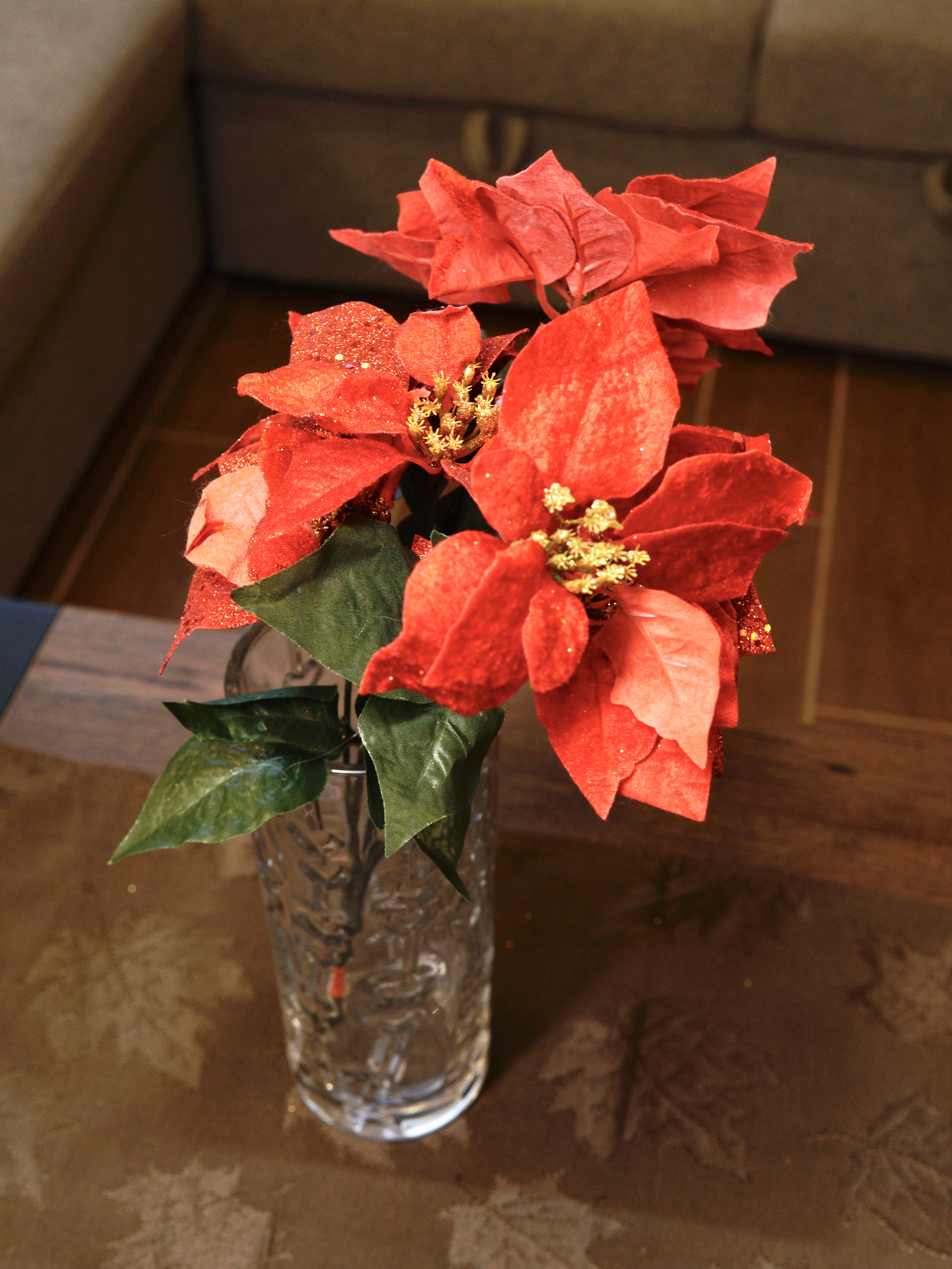 Christmas Poinsettia Selection