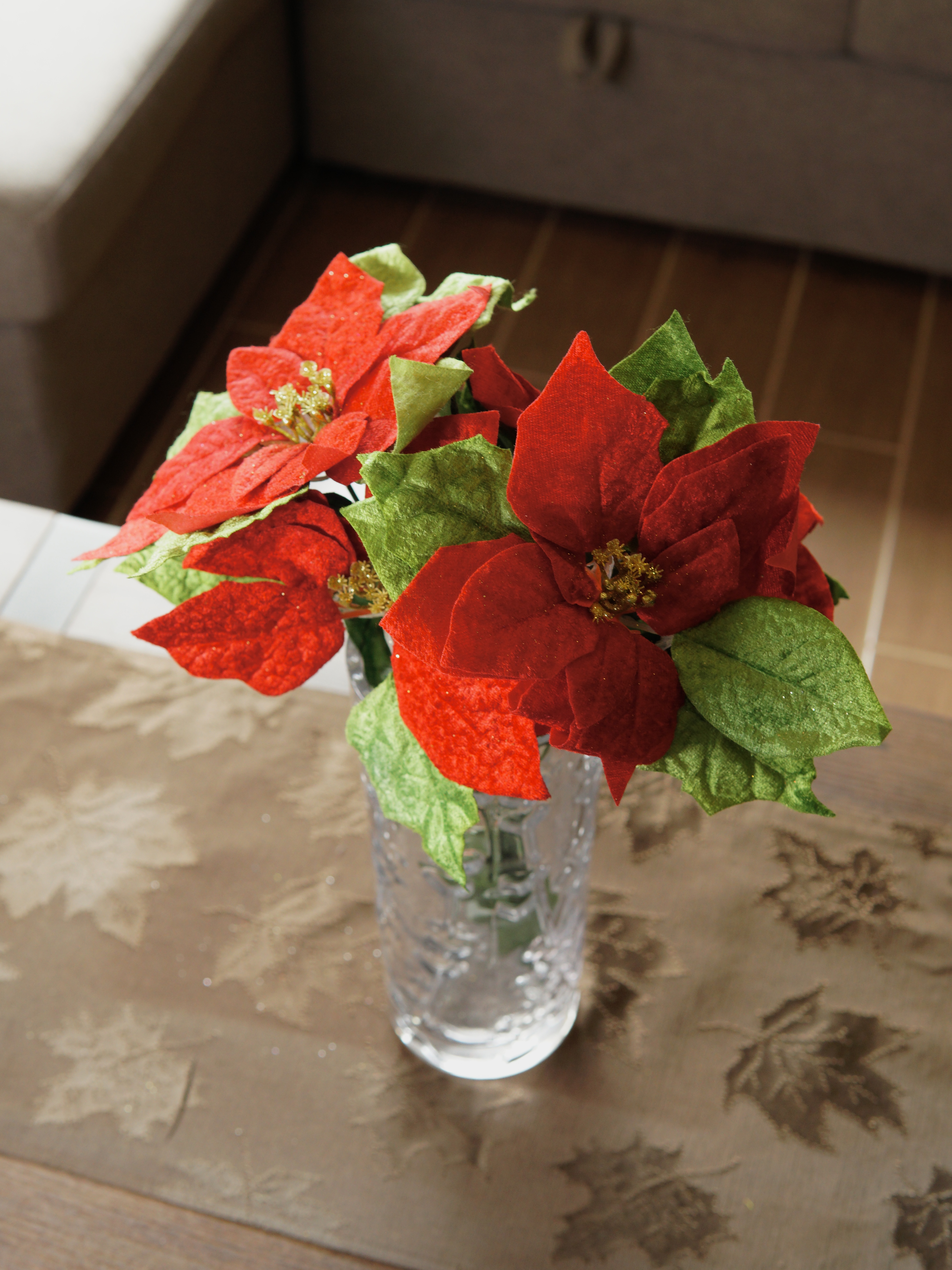Christmas Poinsettia Selection
