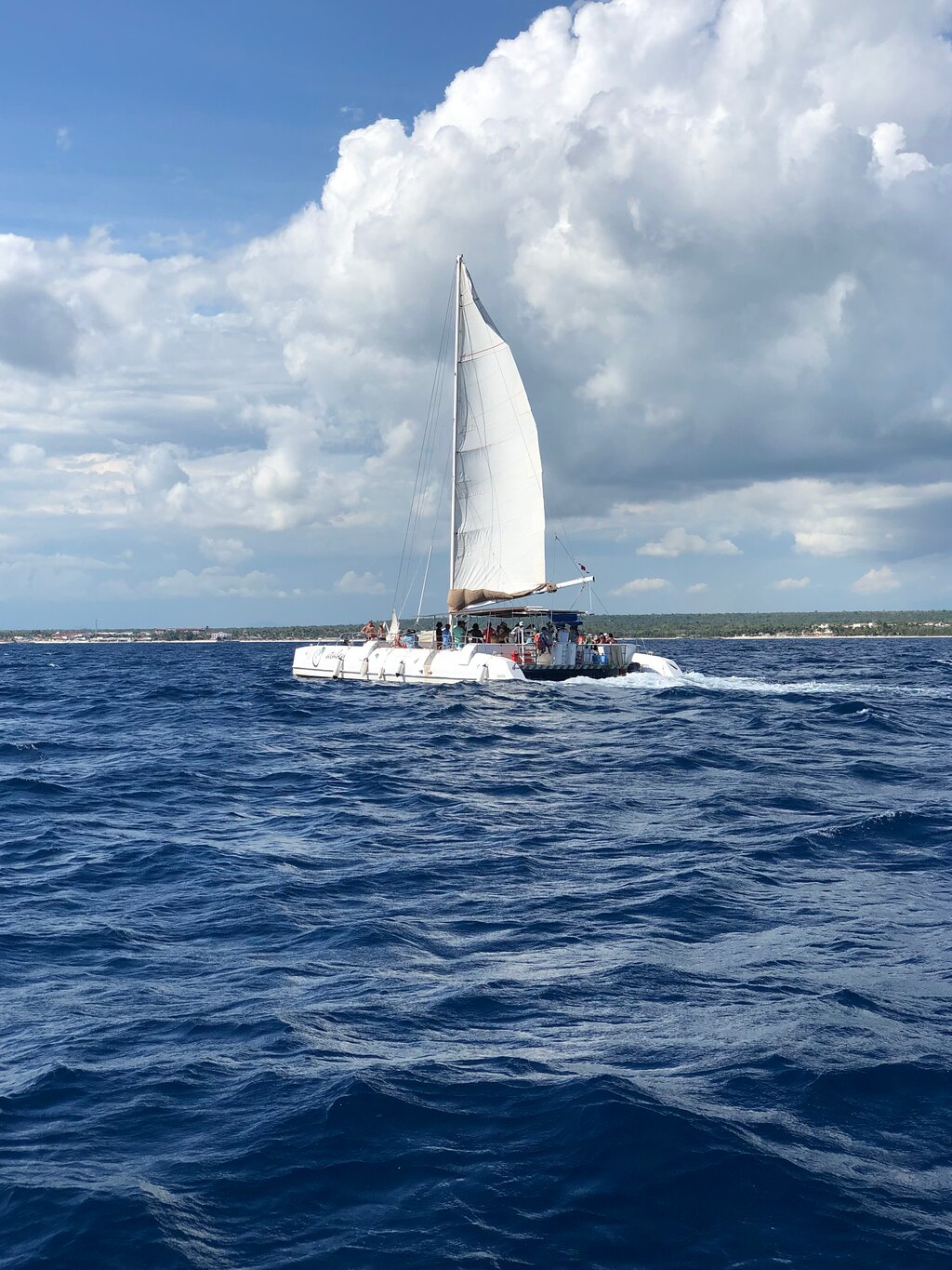 Isla Saona Full Day + Catamaran