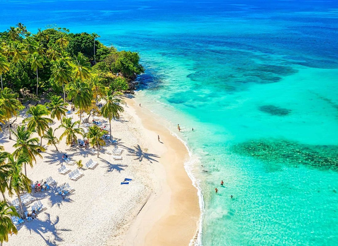 Tour Observatorio de Ballenas y Cayo Levantado