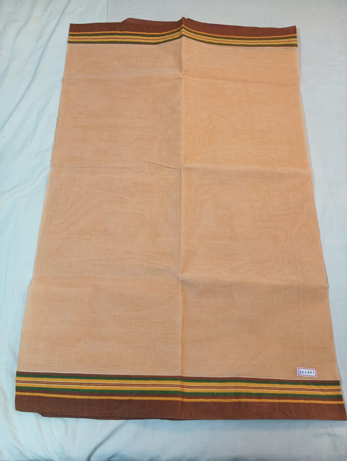 Biscuity Saree with Brown Striped Border
