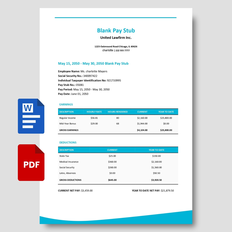 Blank Pay Stub Template | Editable Payroll Slip for Employees | PDF + Word | Simple & Modern Design