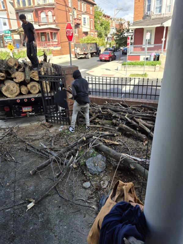 Tree Removal (DEPOSIT)
