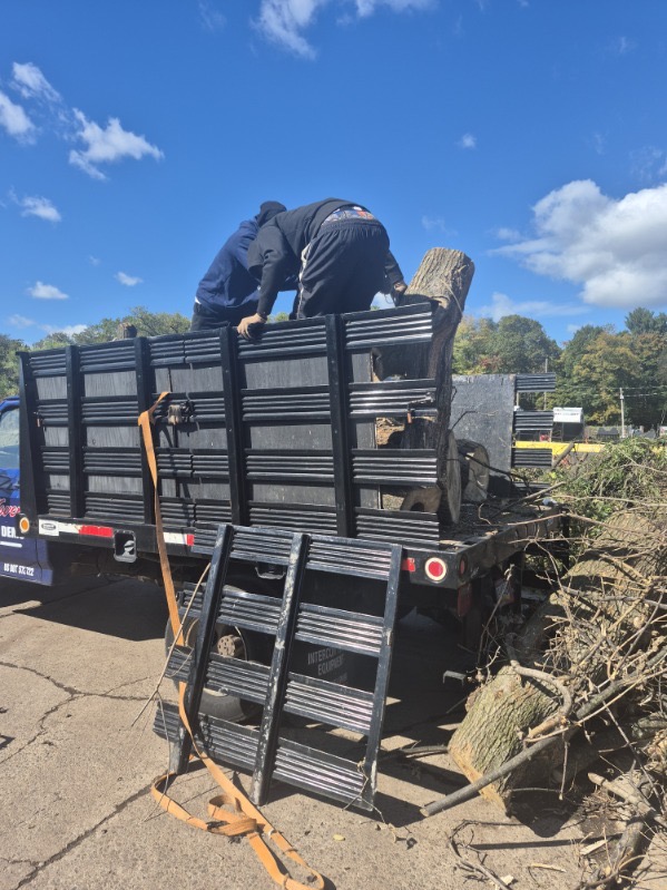 Tree Removal (DEPOSIT)