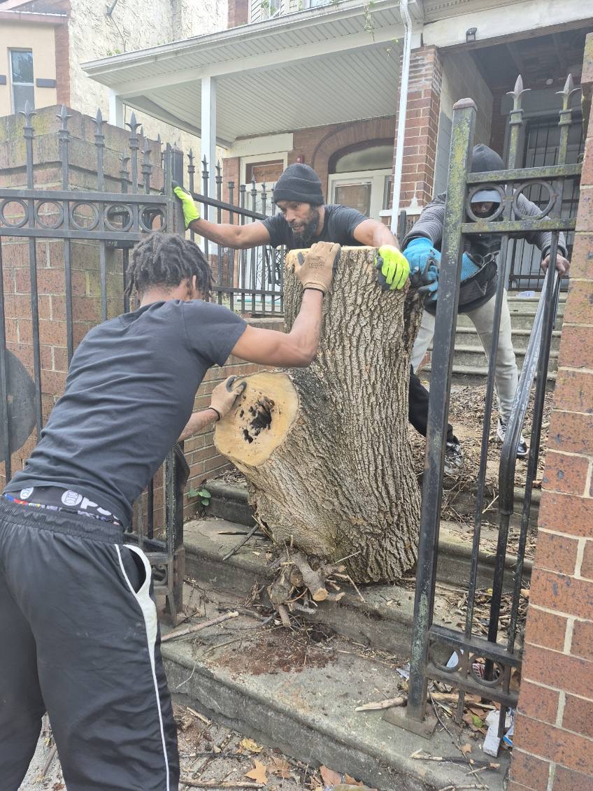 Tree Removal (DEPOSIT)