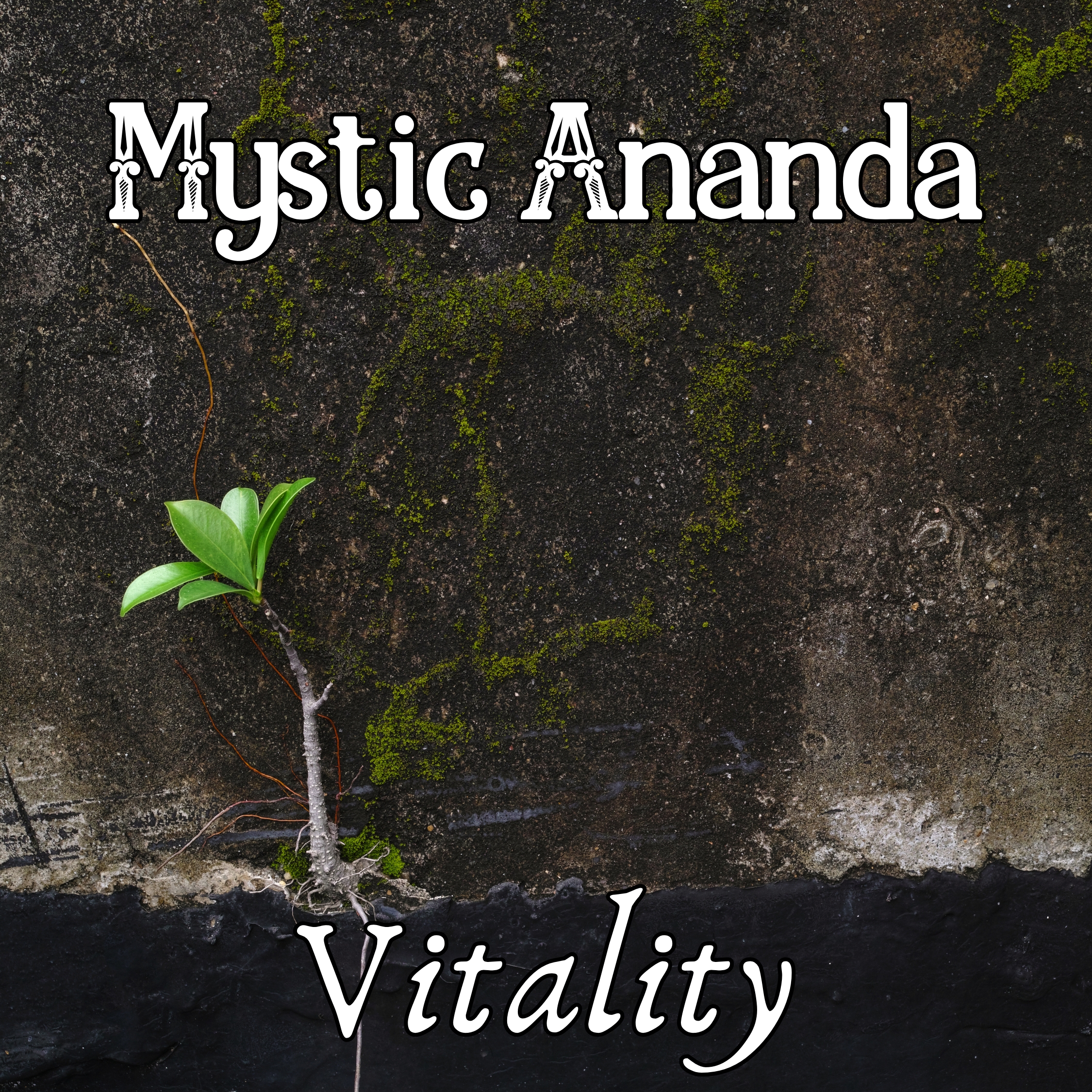 Vitality - Жизненная сила