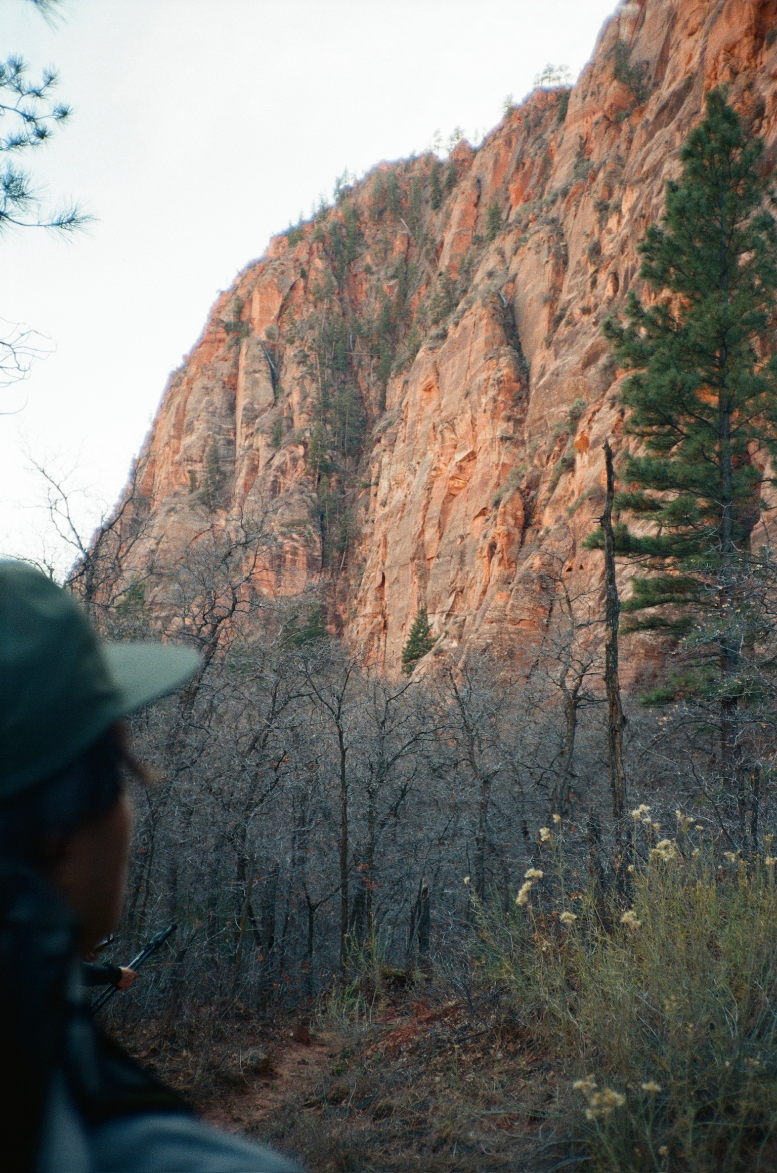 If Only You Were There