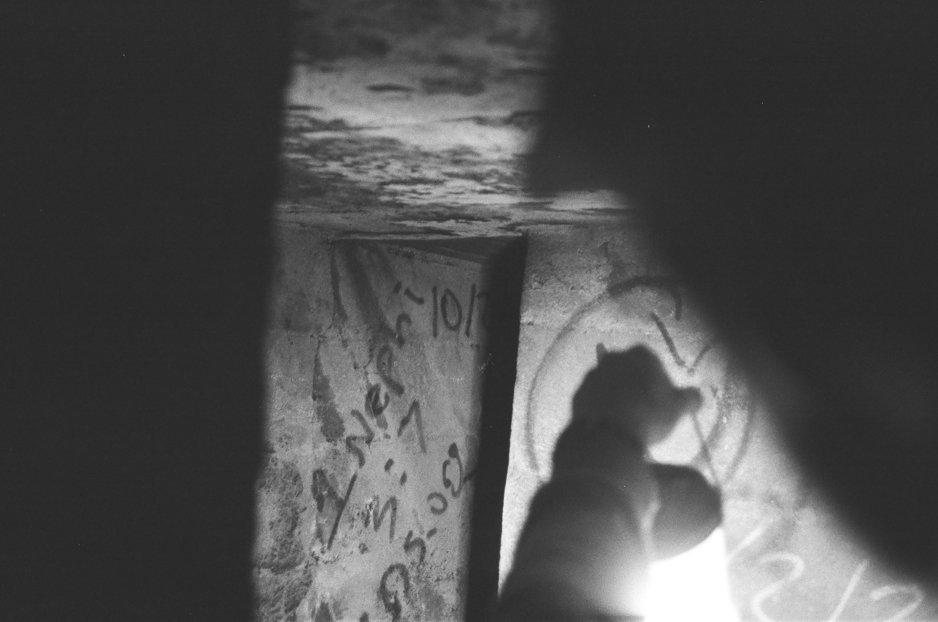 What Lies in the Shadows