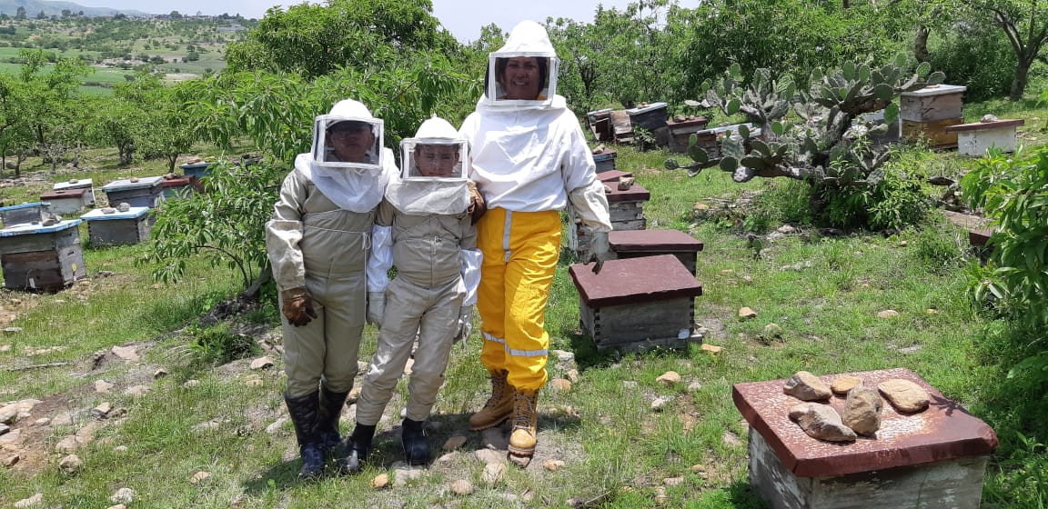 Servicio de polinización entomófila - Llamar al 2221275803