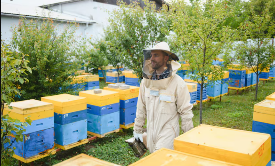 Servicio de polinización entomófila - Llamar al 2221275803