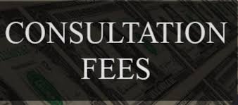 Consulting Fee