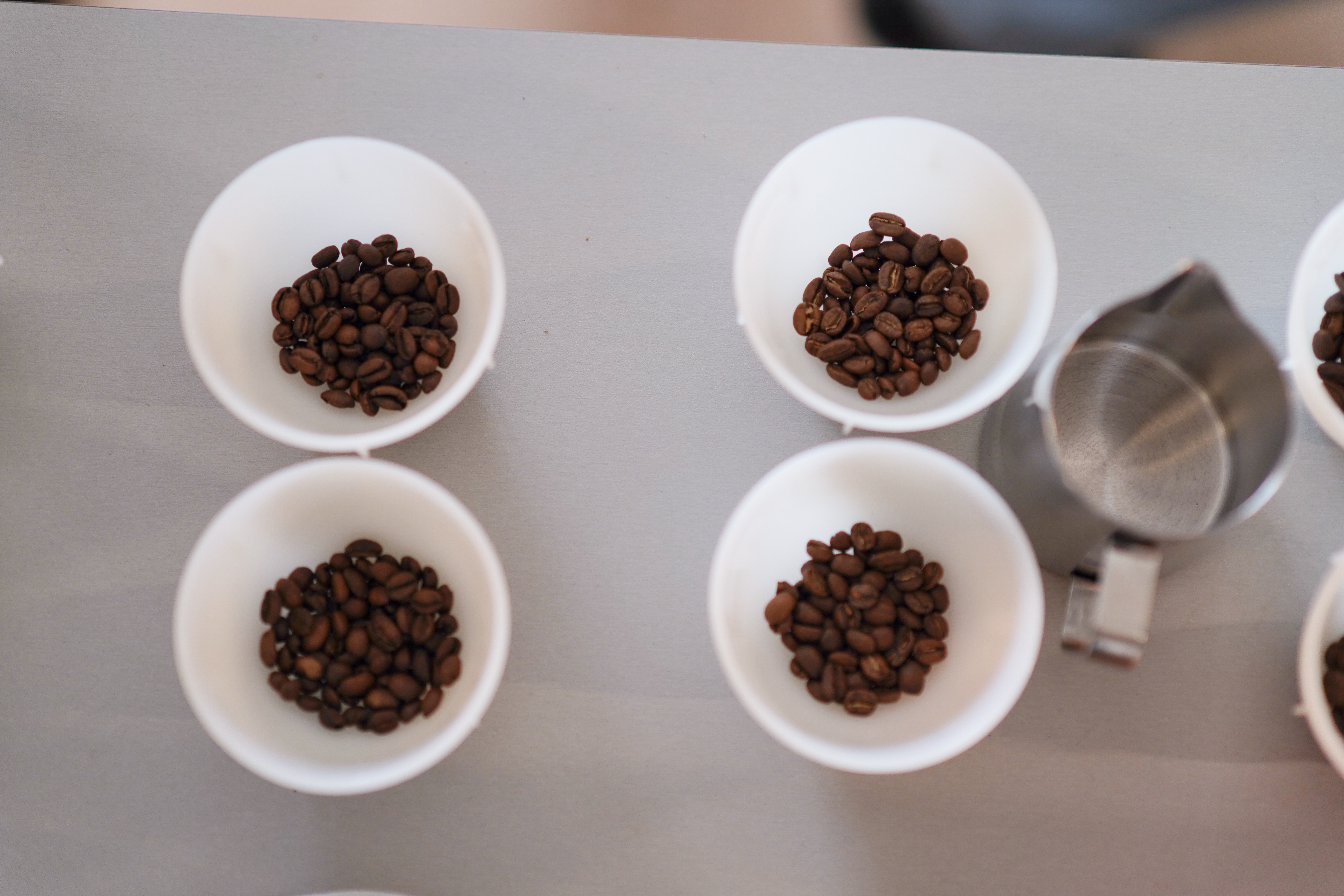 Individuali kavos degustacija