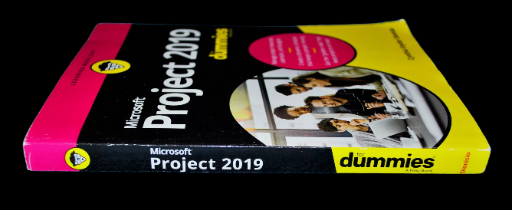 Microsoft Project 2019 For Dummies
