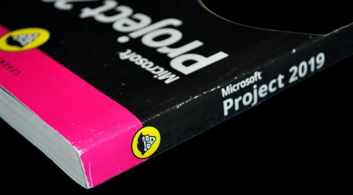Microsoft Project 2019 For Dummies