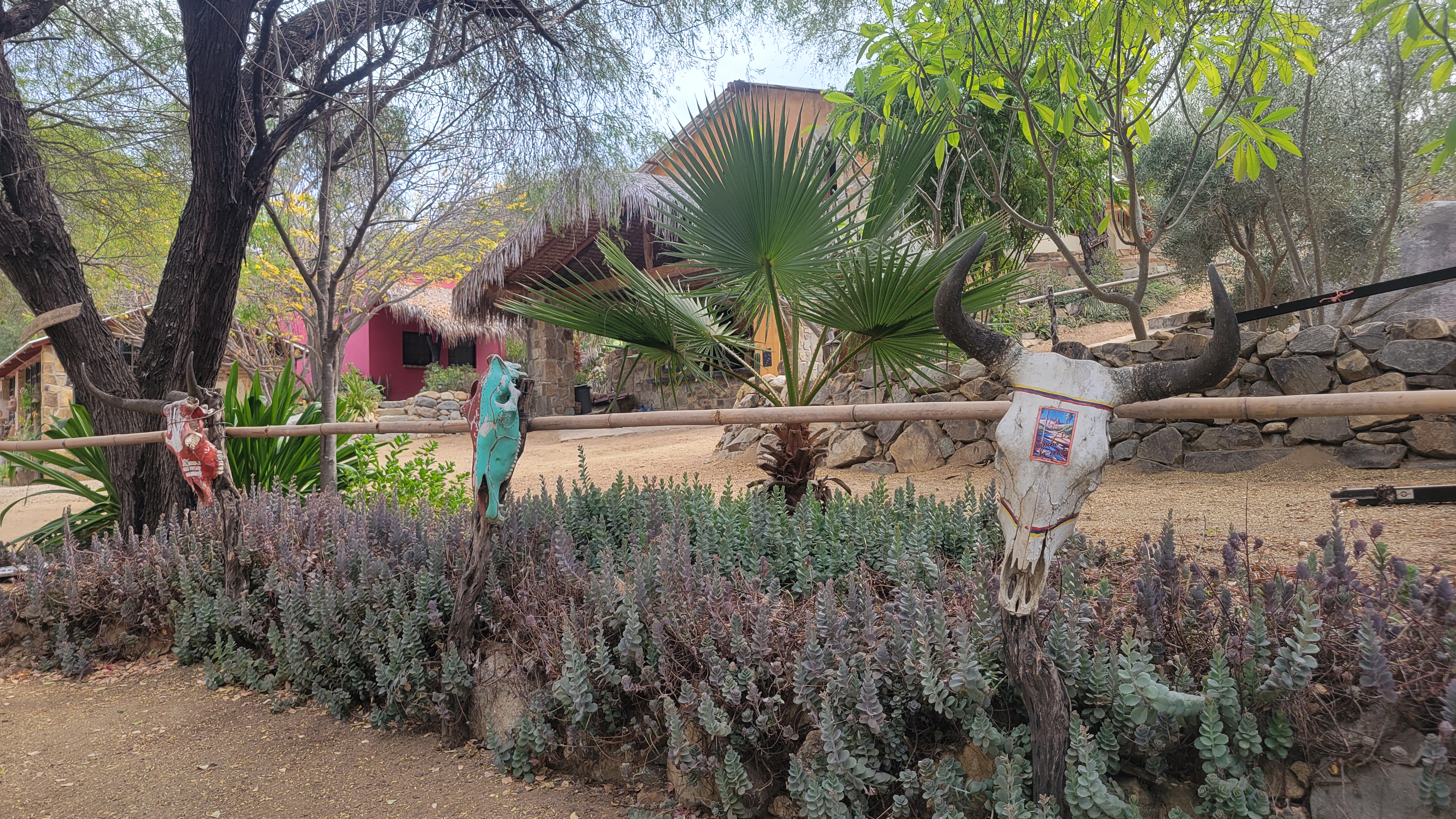 Hidden oasis and Wine Tasting