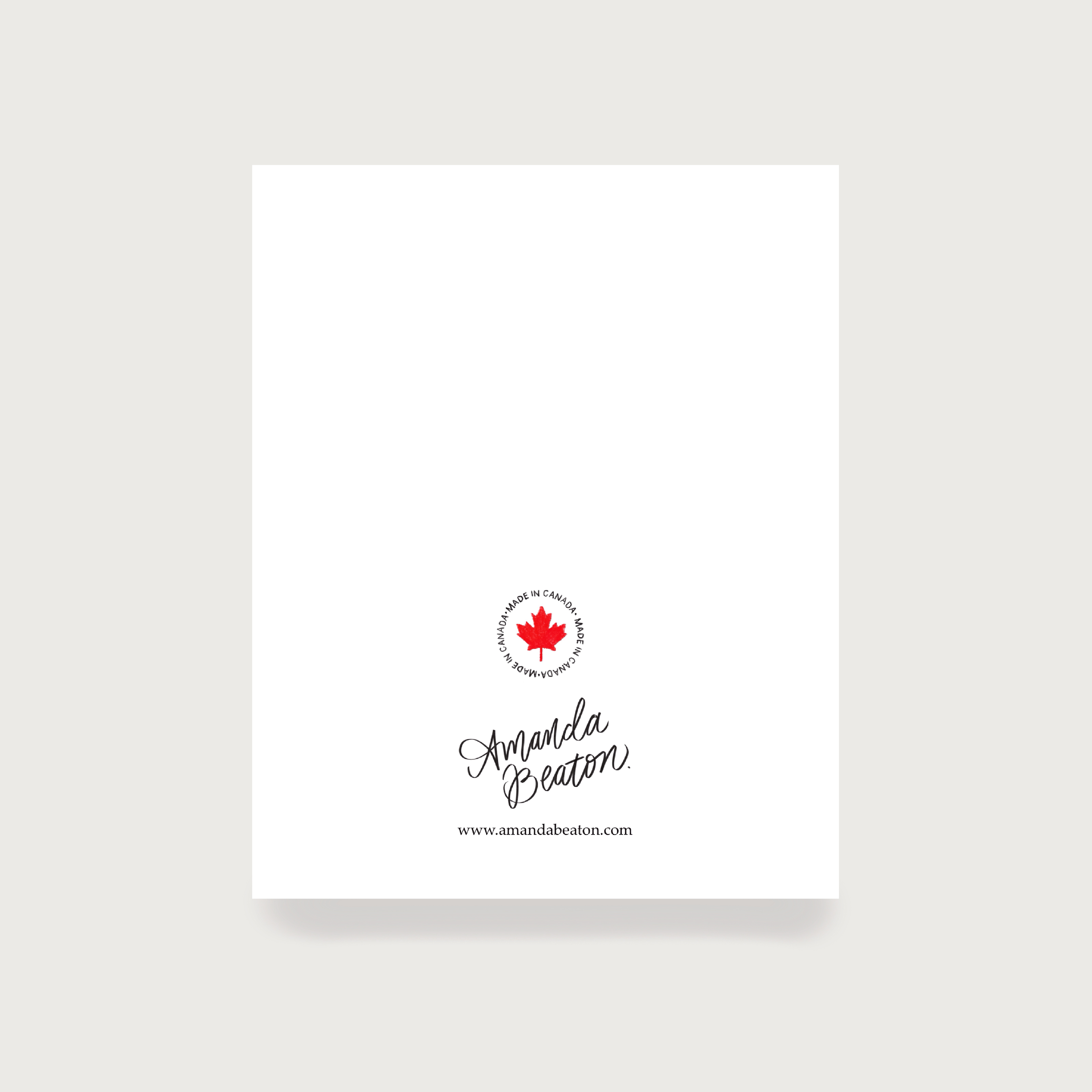 Merry Christmas Snowball Fight Christmas Card