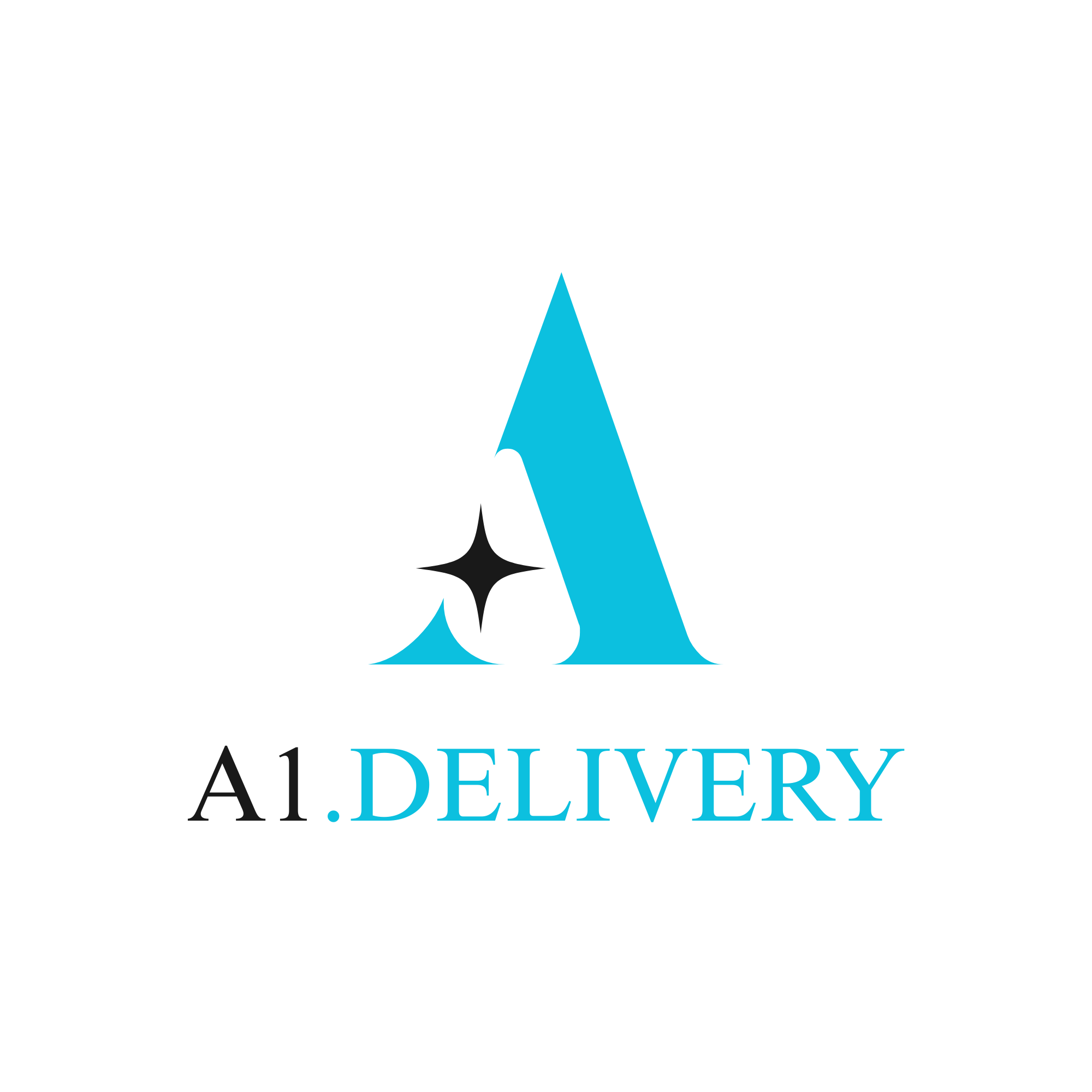 A1.DELIVERY